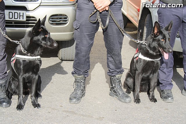 I Encuentro Interpolicial de Guas Caninos de la Regin de Murcia - 26