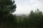 jumilla