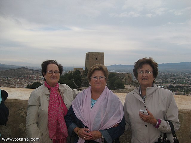 Viaje a Lorca y guilas - Grupo de Mayores de Telefnica - Murcia - 47