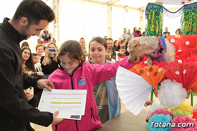 4 Concurso de Disfraces para Mascotas - Carnaval de Totana 2020 - 81