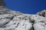 Naranjo de Bulnes