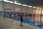 natacion