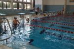 natacion