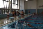 natacion