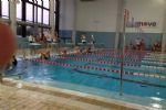 natacion