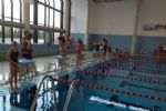 natacion