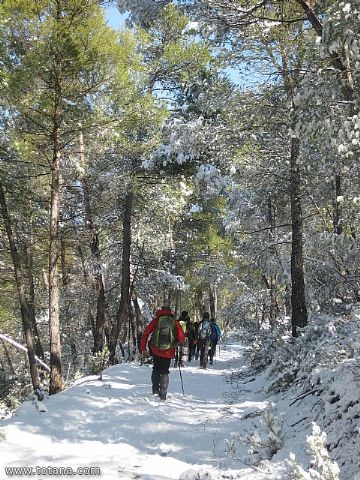 El club senderista realiz tres rutas donde la nieve fue la gran protagonista - 166