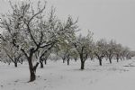 nieve en totana