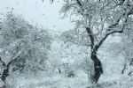 nieve en totana