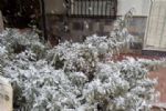 nieve en totana