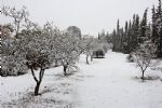 nieve en totana