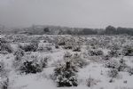 nieve en totana