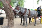 Romería de Lébor