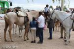 Romería de Lébor