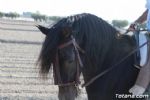 Romeria Lébor