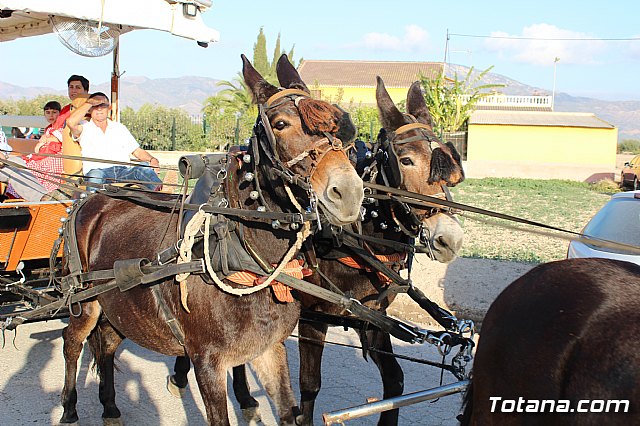 Romera de Lbor 2017 - 77