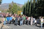 Romeria