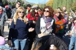 romeria 1