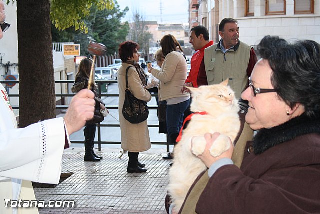 Bendicin animales - San Antn 2012 - 307