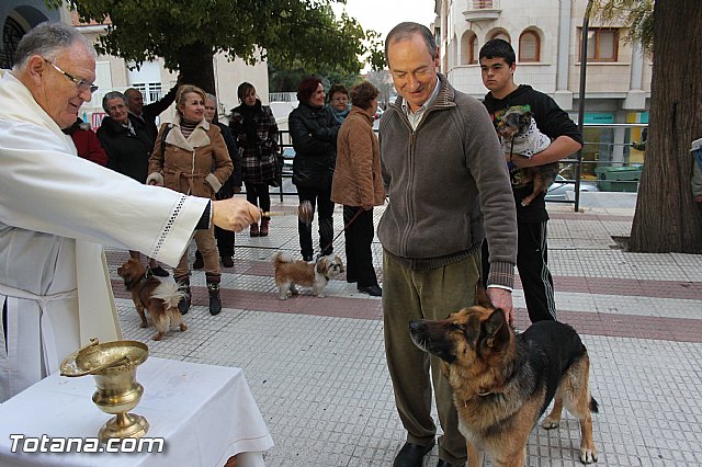 Los animales recibieron la bendicin en el da de su patrn, San Antn Abad - 2014 - 303