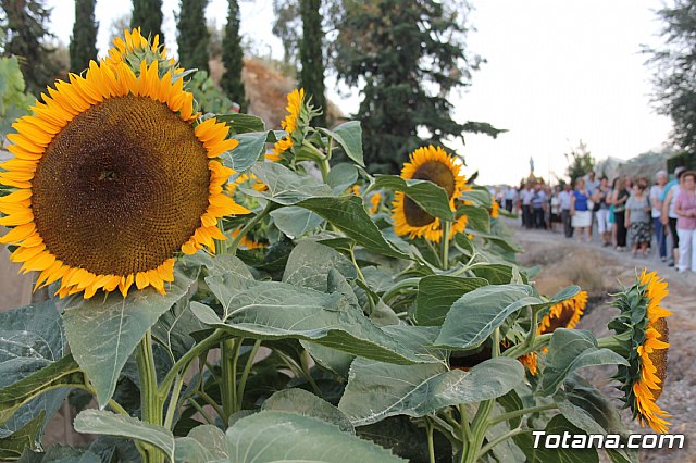 Fiestas Vias-Carivete 2013 - 116